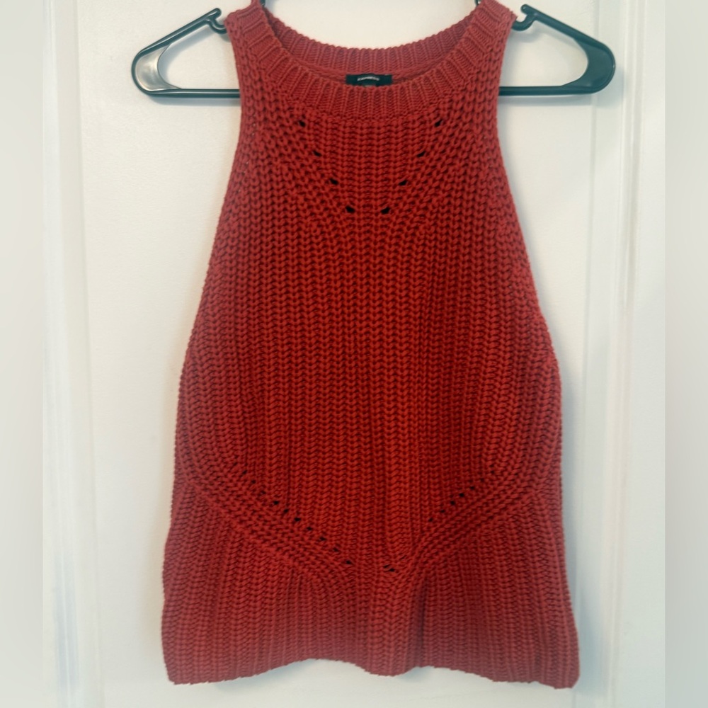 Express Vibrant Cinnamon Knit Sleeveless Sweater